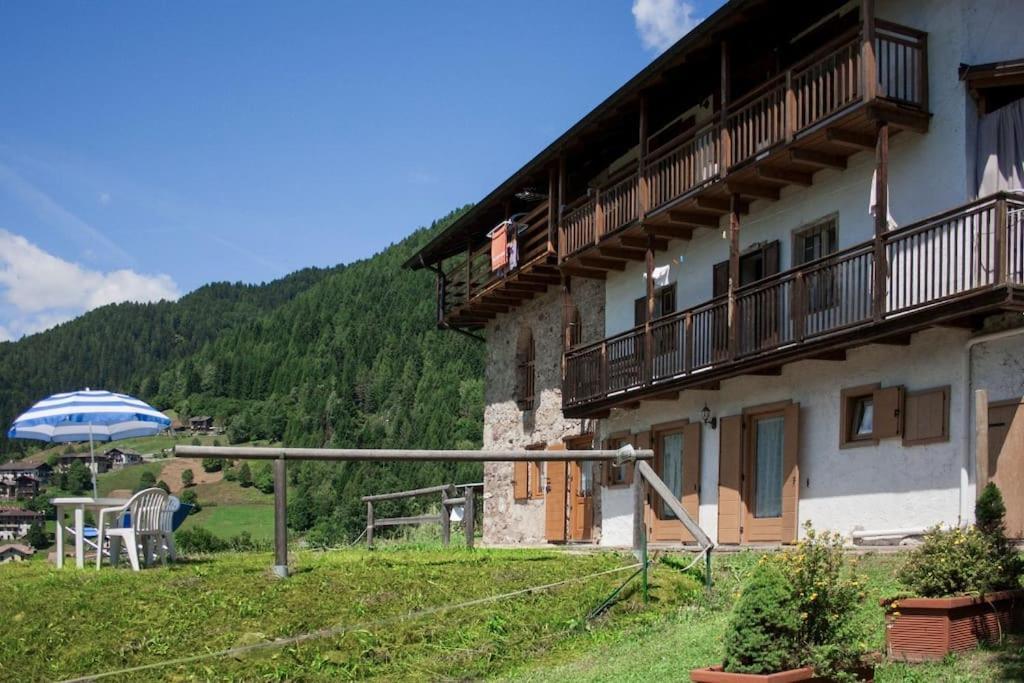 קנלה סן בובו Casa Bernard Zortea Vanoi Cuore Verde Del Trentino מראה חיצוני תמונה