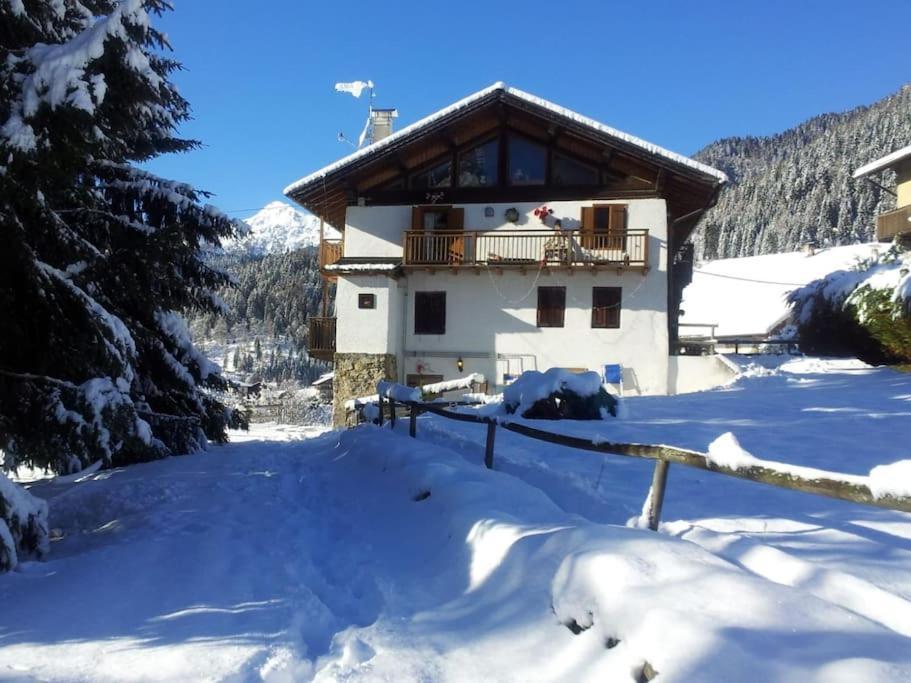 קנלה סן בובו Casa Bernard Zortea Vanoi Cuore Verde Del Trentino מראה חיצוני תמונה